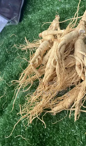 Ginseng Root