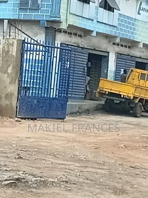 Lafarge Cement, Dangote Cement and Others