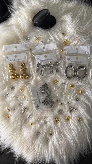 Stainless Earing