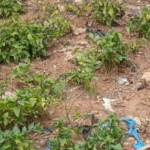 Joint Venture Land Available for Sale