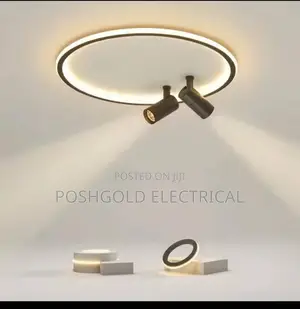 Halo Ring Spotlight Combo Ceiling Light