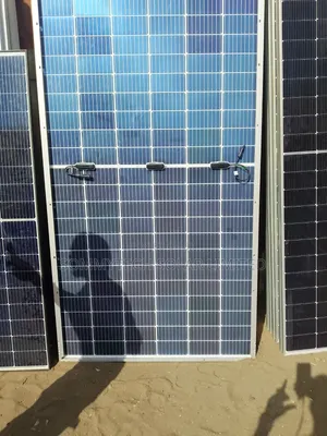 540w Longi Biaficial Panel