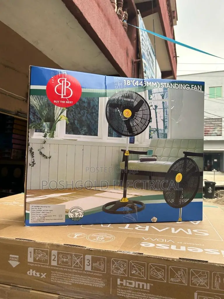 Standing Fan