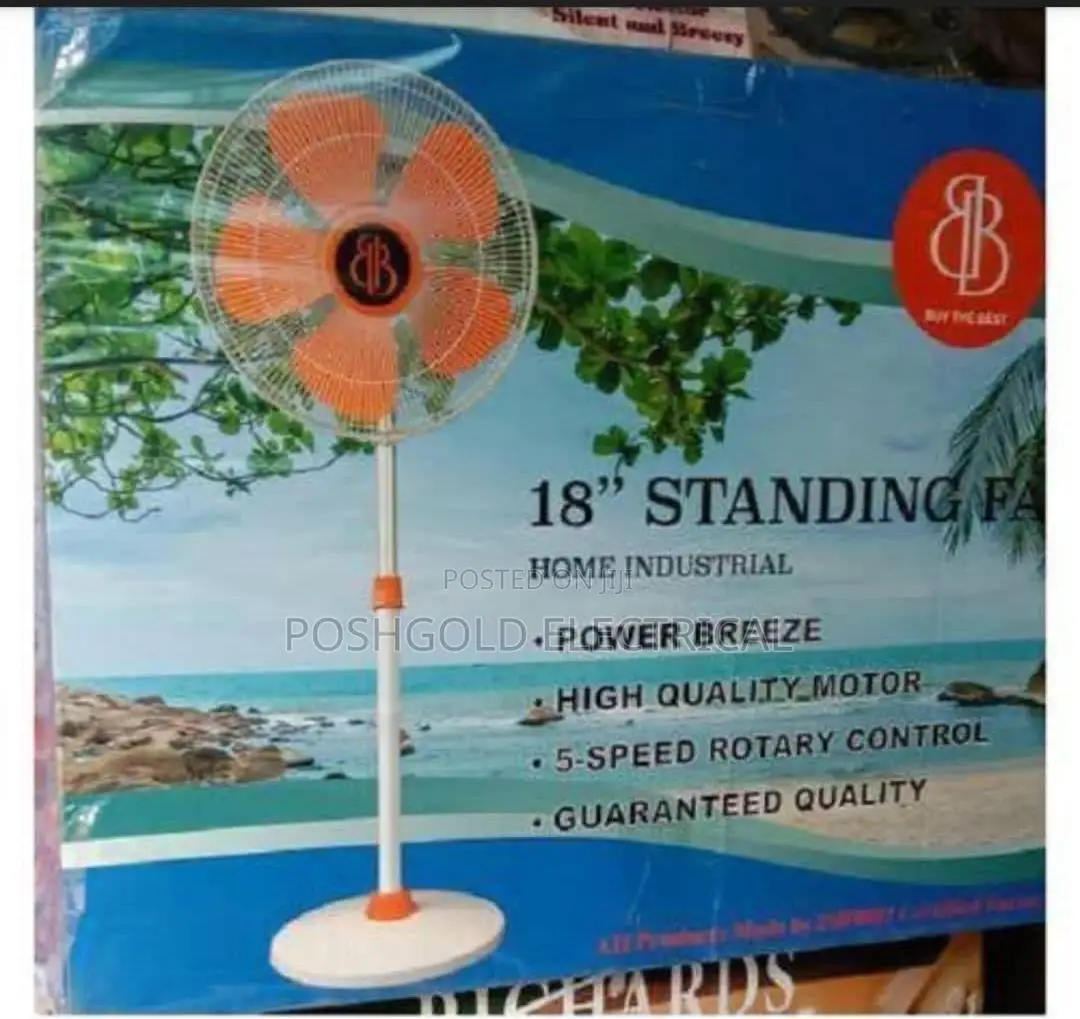 Standing Fan
