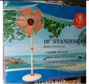 Standing Fan