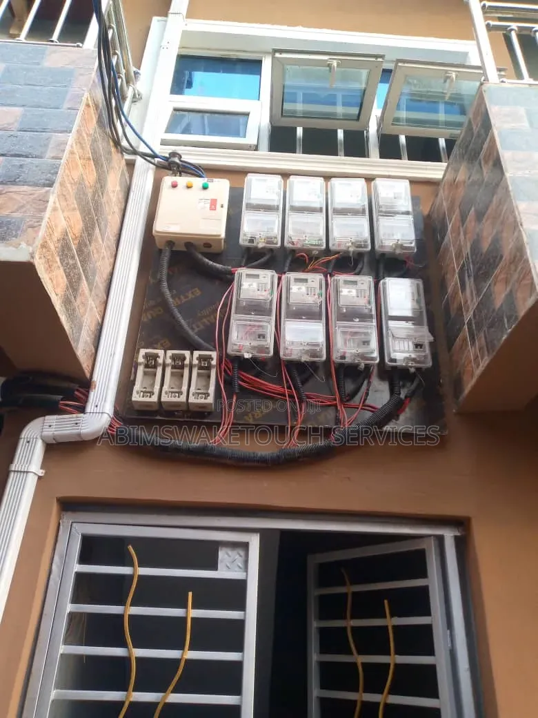 Professional Electrician