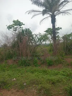500 Acres of Farmland at Ilaro Available for Sale