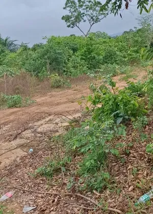 Airport Road Inteje