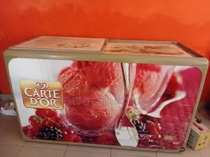Carte D’Or Freezer, Neatly Used, Fast Cooling, No Faults
