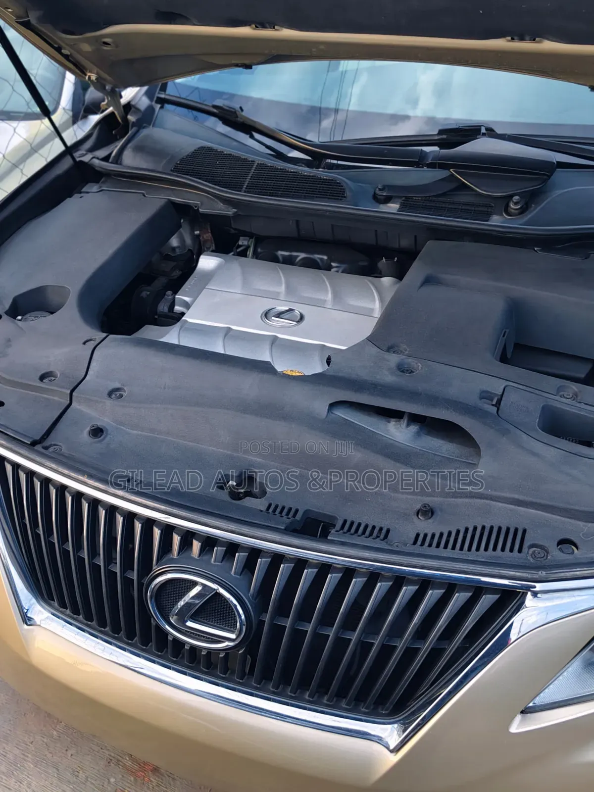 Lexus RX 2010