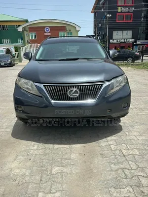 Lexus RX 2010 Gray
