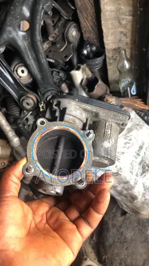 Injector Mouth Ford Edge 2013