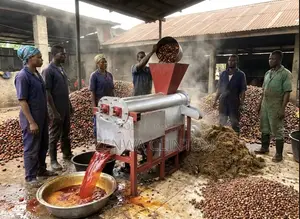 3 in 1 Palm Oil Machine