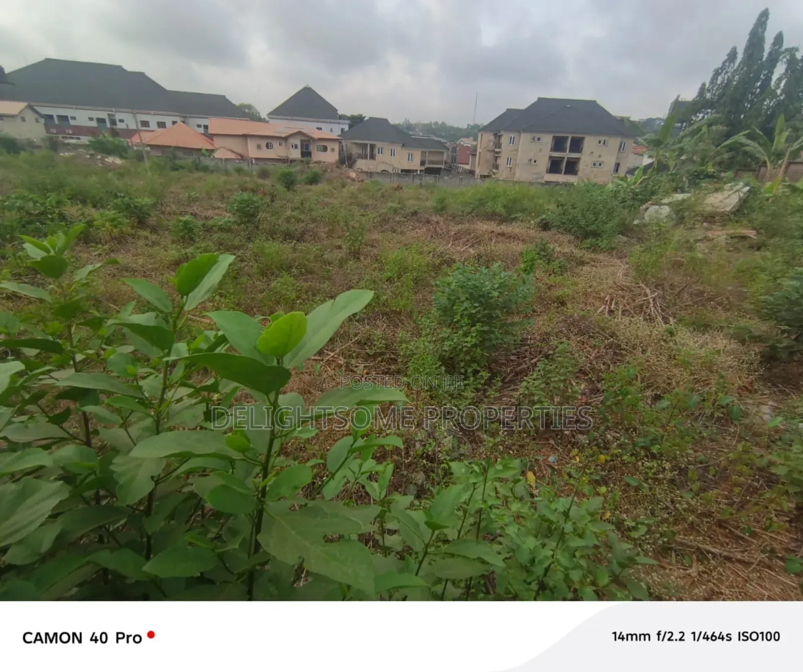 For Sale. Poultry Farm