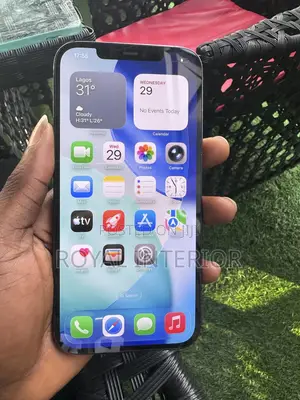 Apple iPhone 12 Pro Max 256 GB Blue