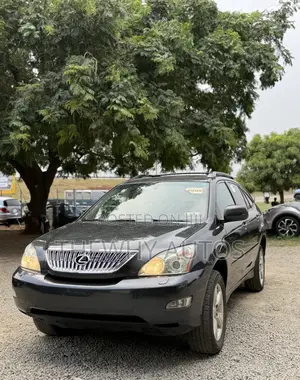 Lexus RX 330 2004 Gray