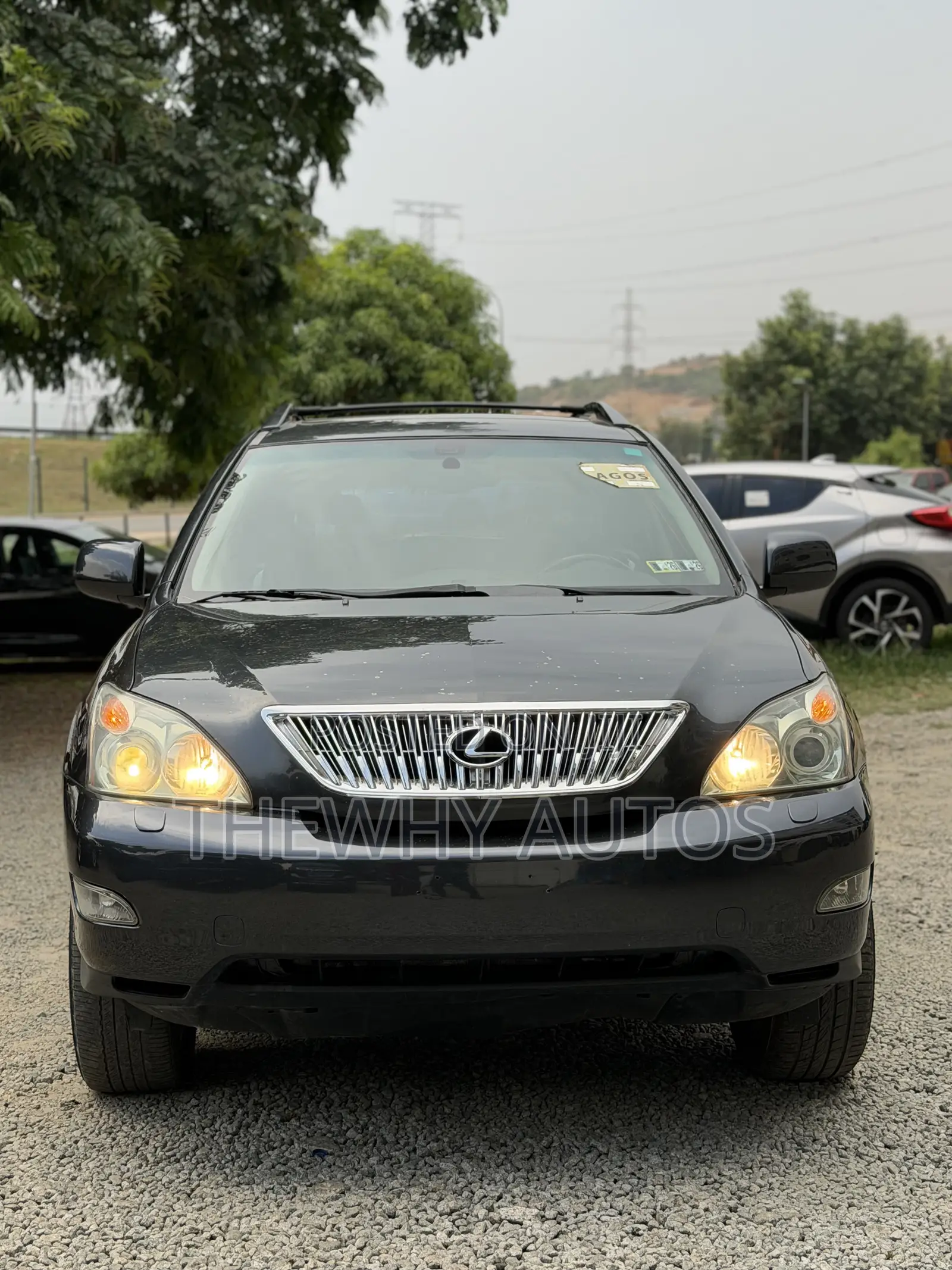 Lexus RX 330 2004 Gray