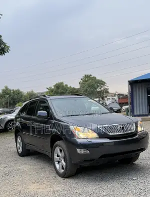 Lexus RX 330 2004 Gray