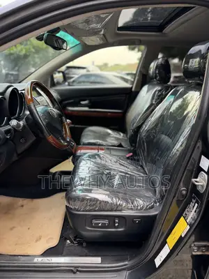 Lexus RX 330 2004 Gray