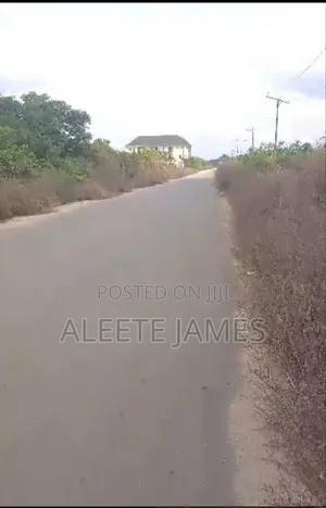 Real Estate