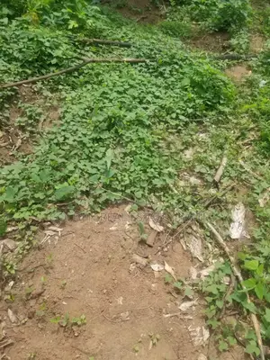 4 Plots Of Land For Sale At Doctor's Quarter, Similoluwa Ado-ekiti-