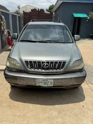 Lexus RX 300 4WD 2003 Gray