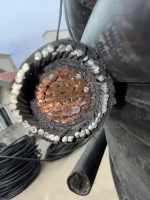 300mm Single Nigeria Armored Cable