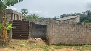2bdrm Farm House in Ayobo for sale