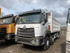 Howo 371hp Covid19 Tipper 12tyres - 45tons