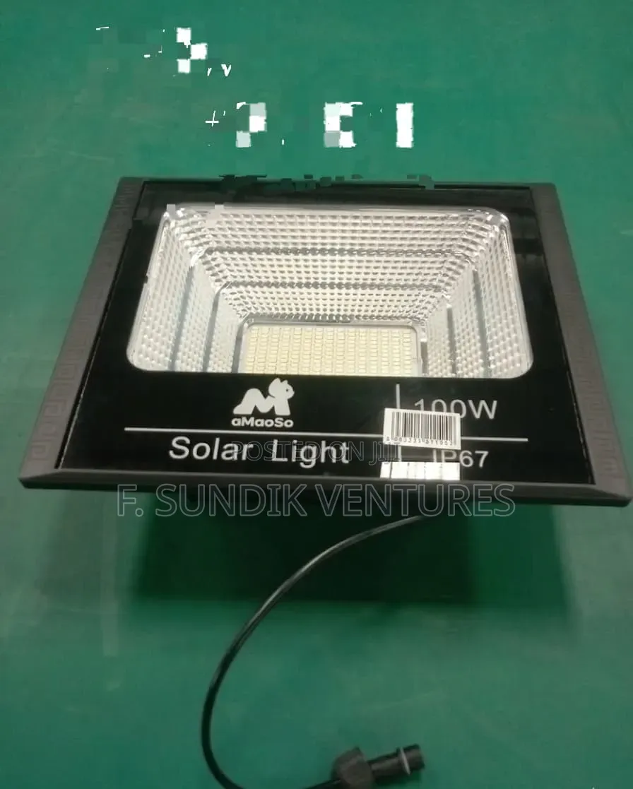 100w Solar Light