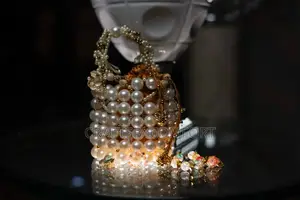 Beaded Bag