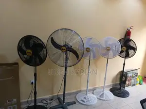 Ava Standing Fan