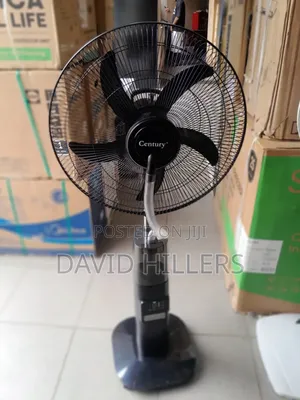 Century Mist Fan