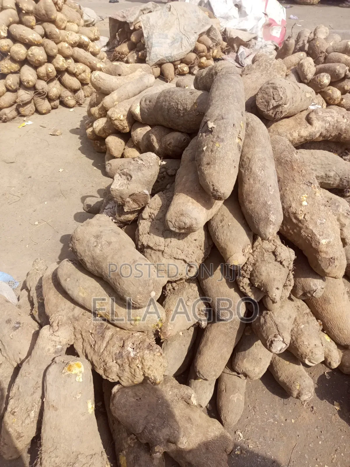 Fresh Yam Good for Pounding