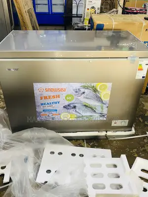 Snowsea Deep Freezer 300l ( Model 450g) Available for Sale