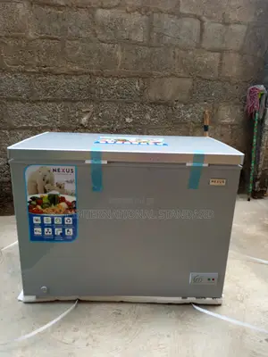 Nx-400g Chest Freezer – Efficient Spacious