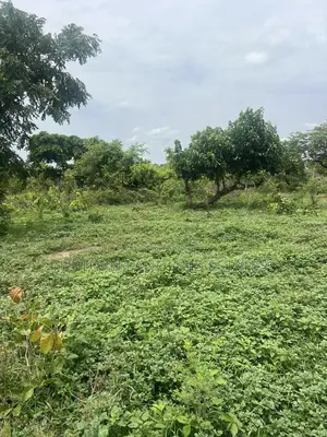 100 Acres of Farmland for Sale at Cheaper Price in Saved Nabourhood