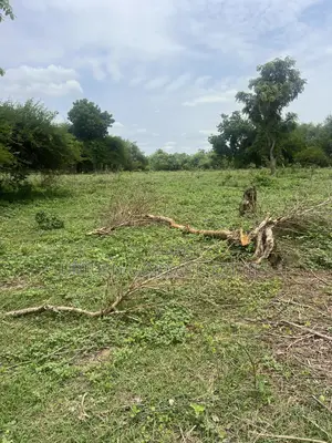 100 Acres of Farmland for Sale at Cheaper Price in Saved Nabourhood