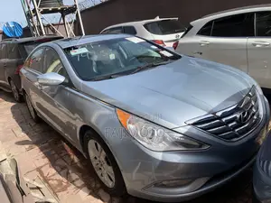 Hyundai Sonata 2011 Blue