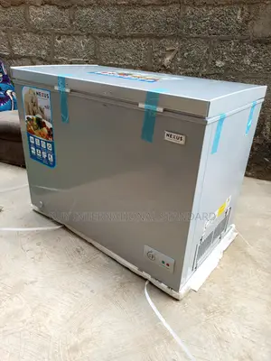 Nx-400g Freezer – Keep the Cold Locked In