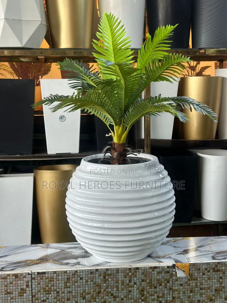 Round Glossyflower Pot