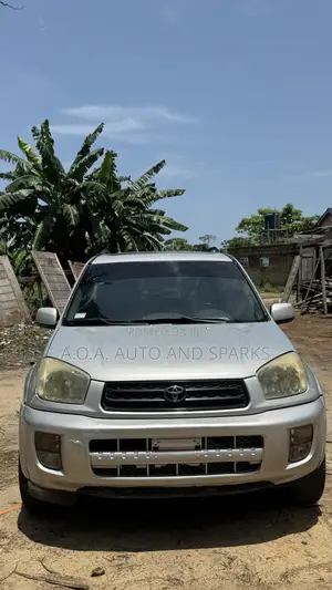 Toyota RAV4 2005 Silver