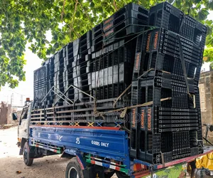 Plastic Pallets You Buy Once and Use for Years