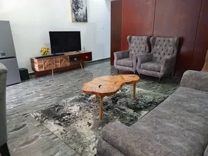 Furnished 1bdrm Block of Flats in Garki 2 for rent