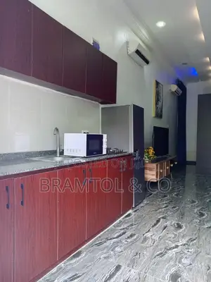 Furnished 1bdrm Block of Flats in Garki 2 for rent