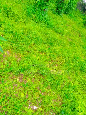 8,126sqm Filling Station Land At Kubwa