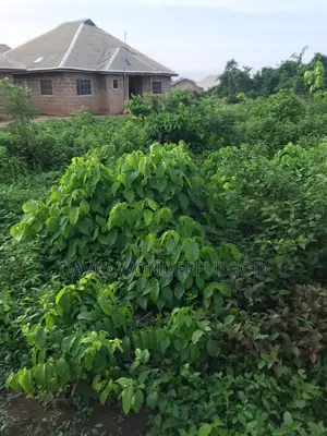 Land Property