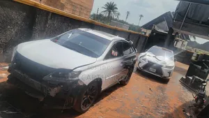 Car Wrap Service