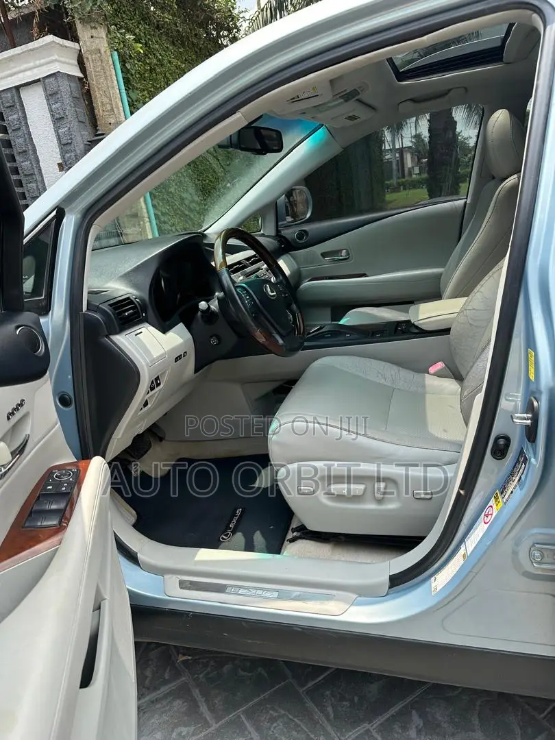 Lexus RX 2010 Blue