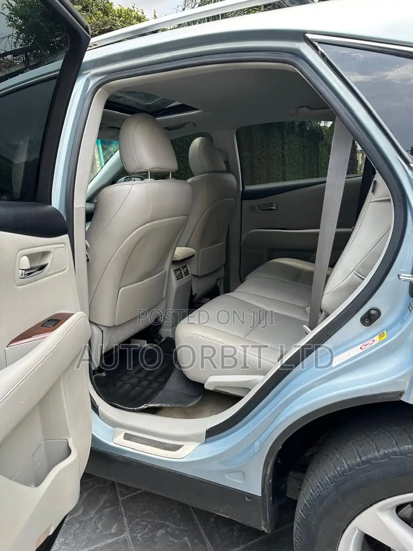 Lexus RX 2010 Blue
